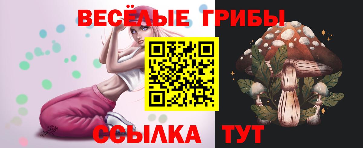 Псилоцибиновые грибы ЛСД  Псилоцибиновые грибы ЛСД  где можно купить наркотик  Минусинск  Вход с VPN 